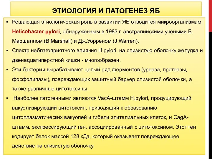 ЭТИОЛОГИЯ И ПАТОГЕНЕЗ ЯБ Решающая этиологическая роль в развитии ЯБ отводится