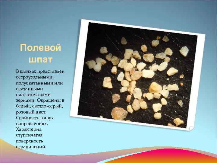 Полевой шпат В шлихах представлен остроугольными, полуокатанными или окатанными пластинчатыми зернами.