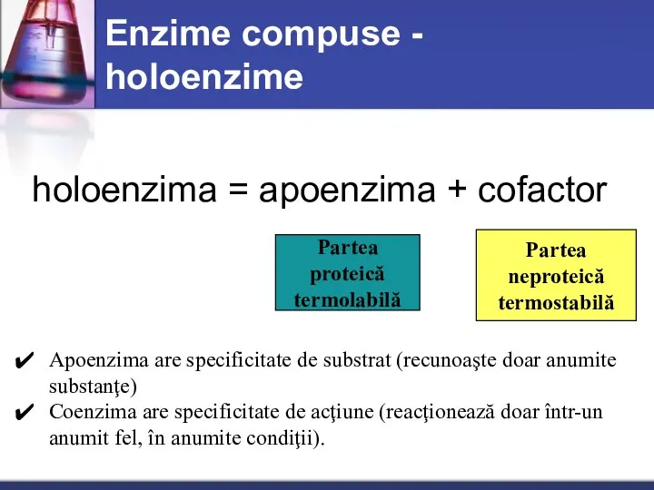 Enzime compuse - holoenzime holoenzima = apoenzima + cofactor Partea proteică