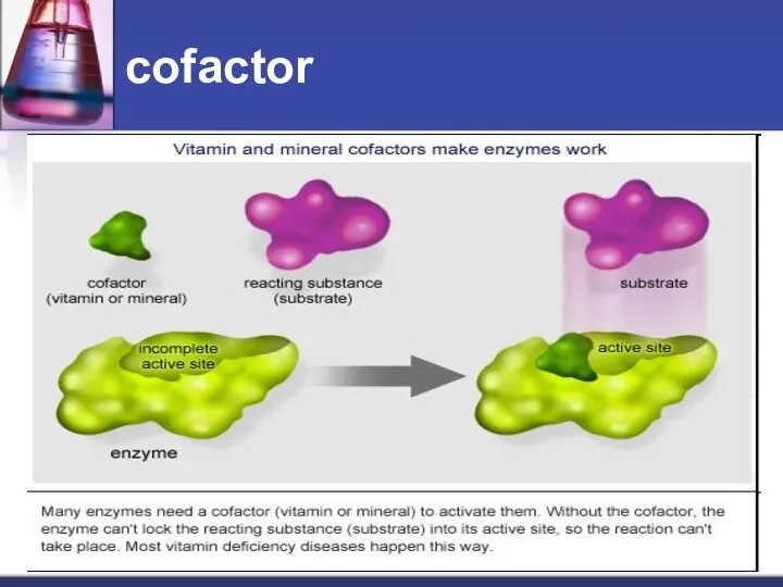 cofactor