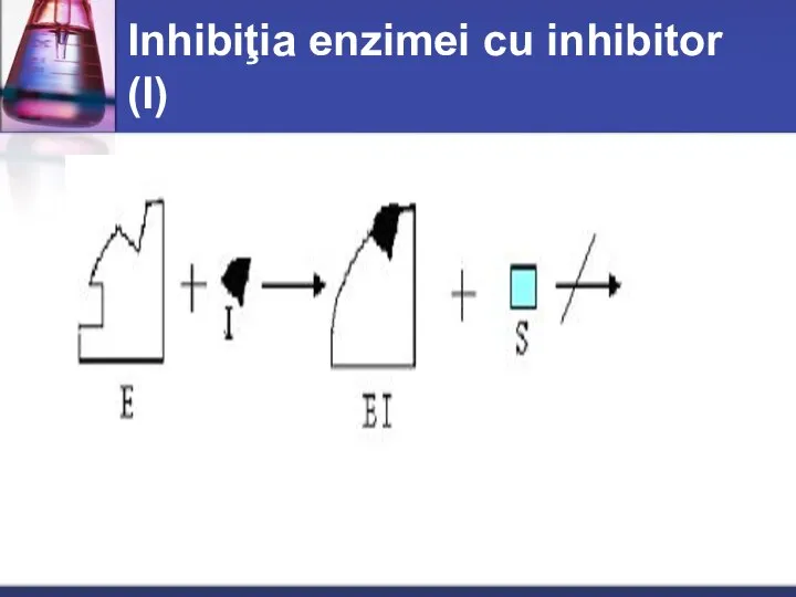 Inhibiţia enzimei cu inhibitor (I)