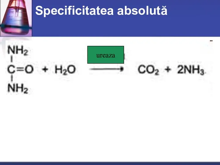 Specificitatea absolută ureaza