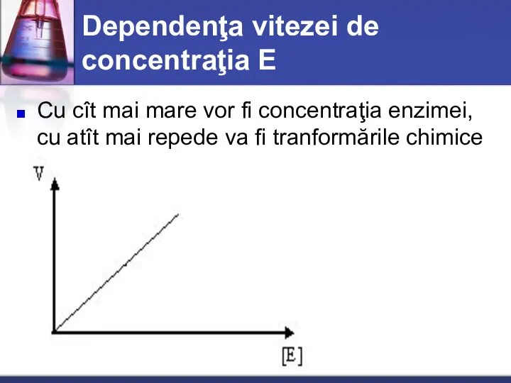 Dependenţa vitezei de concentraţia E Cu cît mai mare vor fi