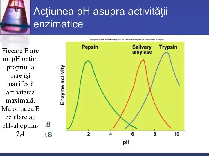 Acţiunea pH asupra activităţii enzimatice Fiecare E are un pH optim