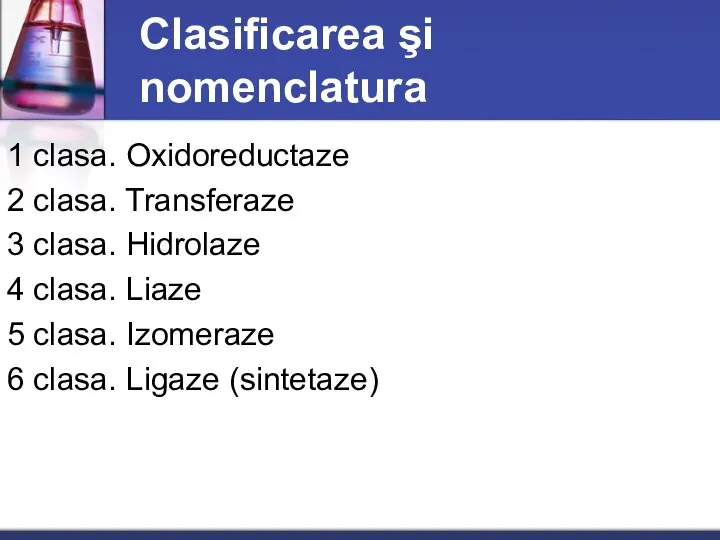 Clasificarea şi nomenclatura 1 clasa. Oxidoreductaze 2 clasa. Transferaze 3 clasa.