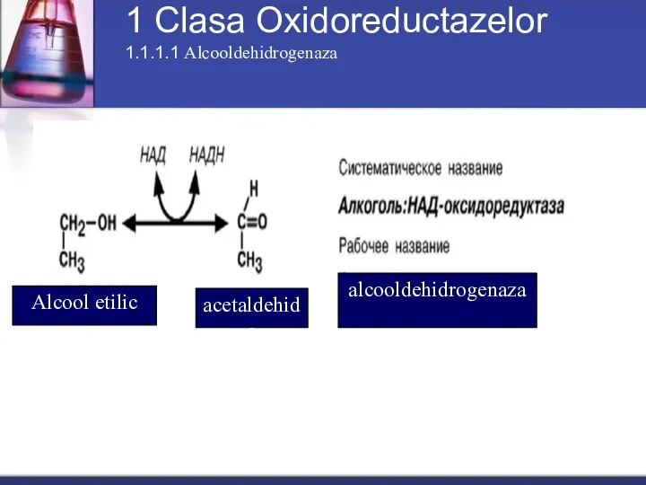 1 Clasa Oxidoreductazelor 1.1.1.1 Alcooldehidrogenaza alcooldehidrogenaza Alcool etilic acetaldehida