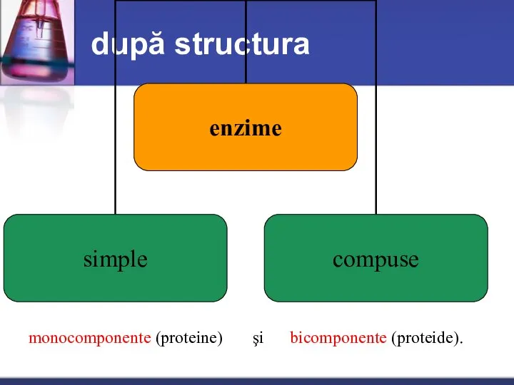 după structura monocomponente (proteine) şi bicomponente (proteide).