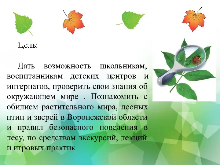 Цель: Дать возможность школьникам, воспитанникам детских центров и интернатов, проверить свои