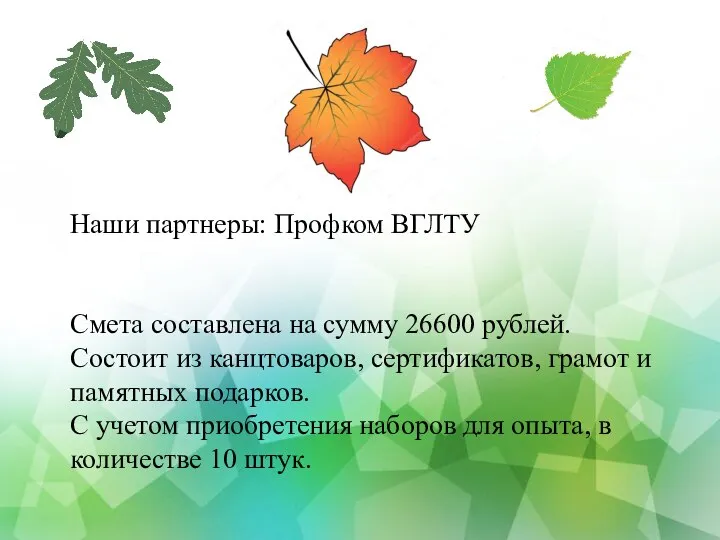 Наши партнеры: Профком ВГЛТУ Смета составлена на сумму 26600 рублей. Состоит