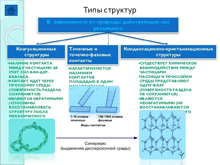 Типы структур В зависимости от природы действующих сил различают: Коагуляционные структуры