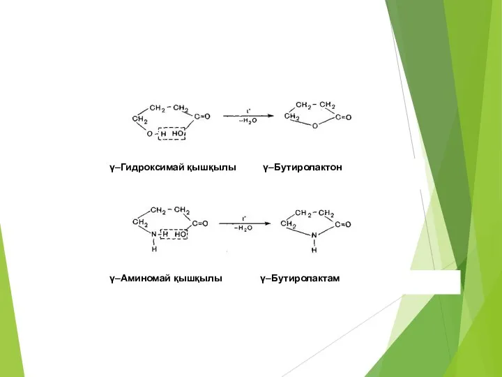 γ–Гидроксимай қышқылы γ–Бутиролактон γ–Аминомай қышқылы γ–Бутиролактам