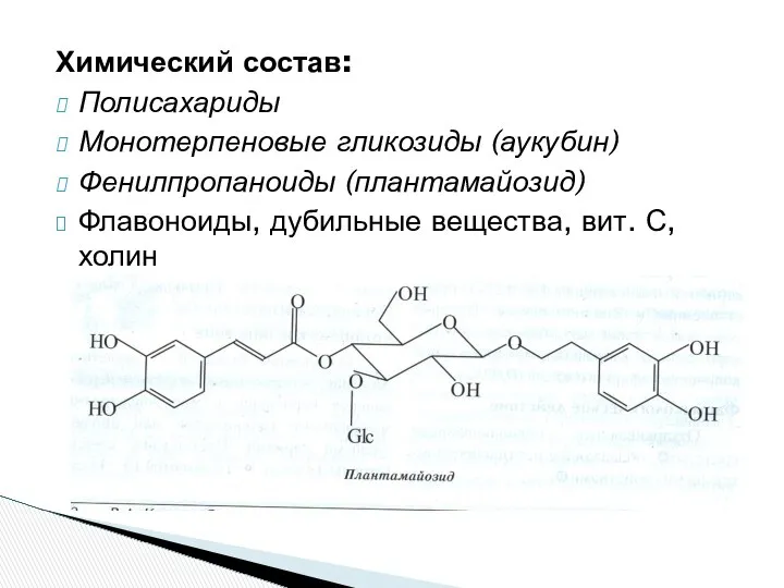 Химический состав: Полисахариды Монотерпеновые гликозиды (аукубин) Фенилпропаноиды (плантамайозид) Флавоноиды, дубильные вещества, вит. С, холин