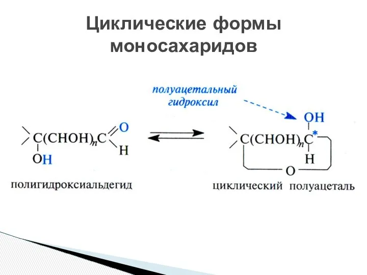 Циклические формы моносахаридов