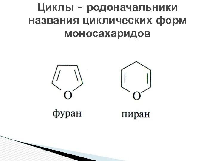 Циклы – родоначальники названия циклических форм моносахаридов