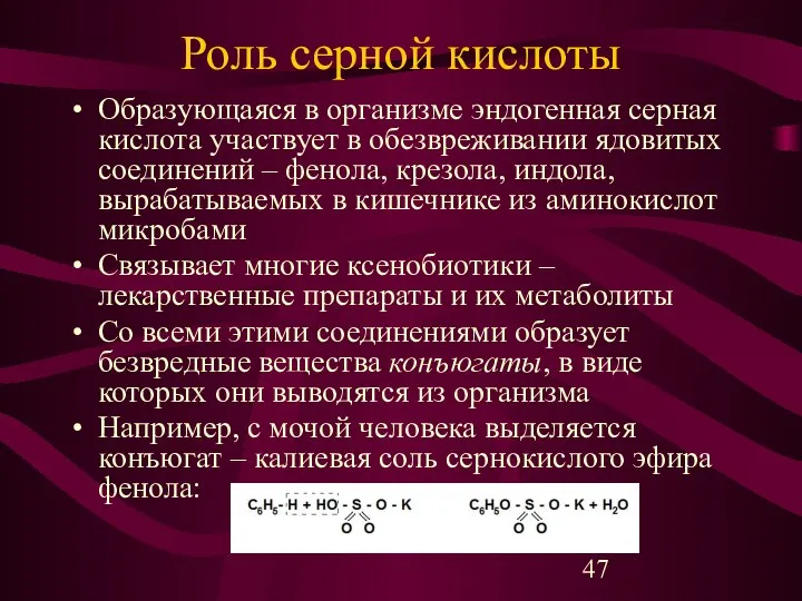 Роль серной кислоты Образующаяся в организме эндогенная серная кислота участвует в