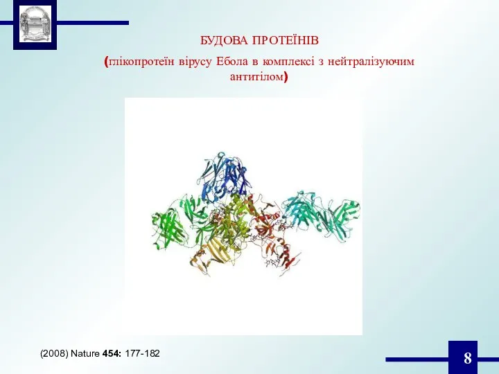 БУДОВА ПРОТЕЇНІВ (глікопротеїн вірусу Ебола в комплексі з нейтралізуючим антитілом) (2008) Nature 454: 177-182