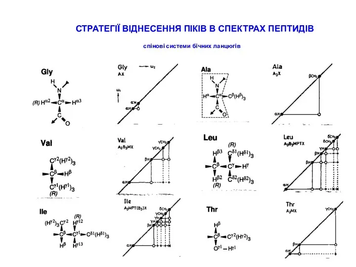 СТРАТЕГІЇ ВІДНЕСЕННЯ ПІКІВ В СПЕКТРАХ ПЕПТИДІВ спінові системи бічних ланцюгів