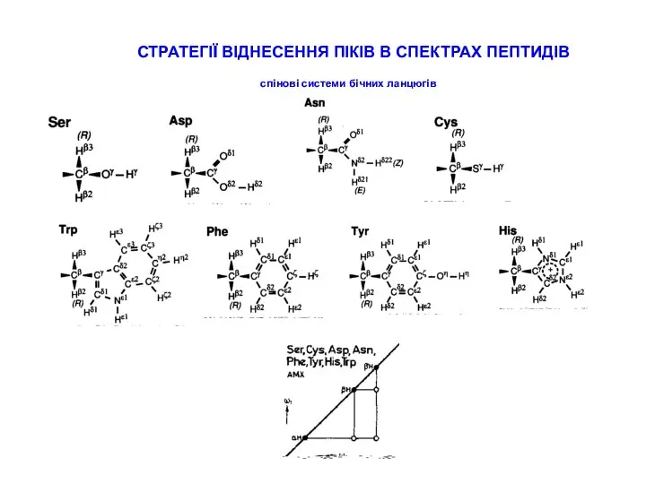 СТРАТЕГІЇ ВІДНЕСЕННЯ ПІКІВ В СПЕКТРАХ ПЕПТИДІВ спінові системи бічних ланцюгів