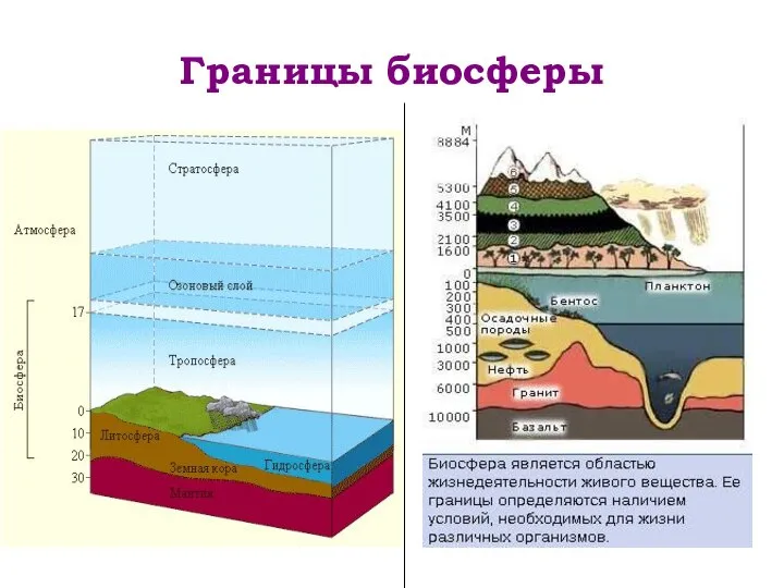 Границы биосферы