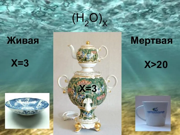 (Н2О)Х Живая Мертвая Х=3 Х=3 Х>20