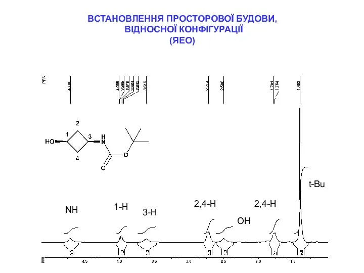 ВСТАНОВЛЕННЯ ПРОСТОРОВОЇ БУДОВИ, ВІДНОСНОЇ КОНФІГУРАЦІЇ (ЯЕО) NH 1-H 3-H 2,4-H OH t-Bu 2,4-H