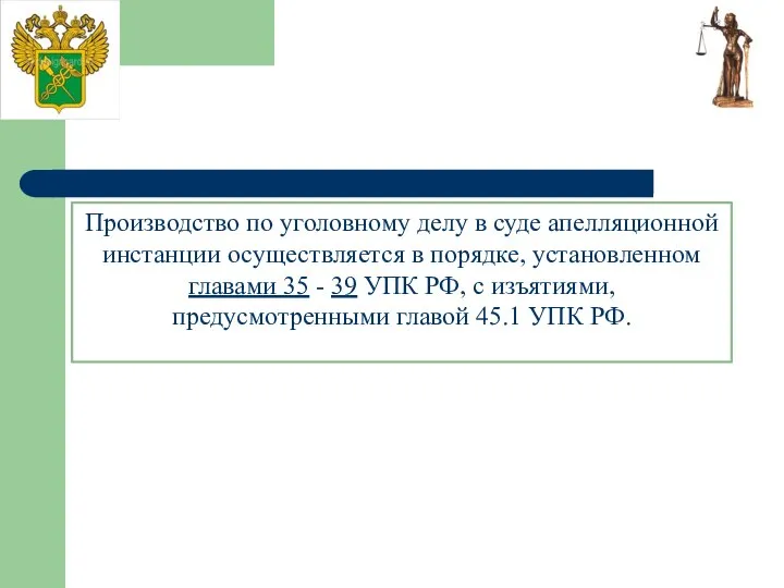 Производство по уголовному делу в суде апелляционной инстанции осуществляется в порядке,