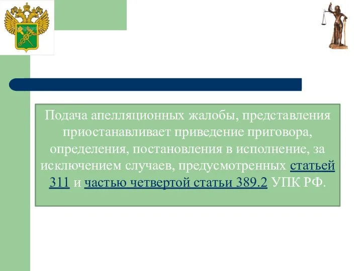 Подача апелляционных жалобы, представления приостанавливает приведение приговора, определения, постановления в исполнение,