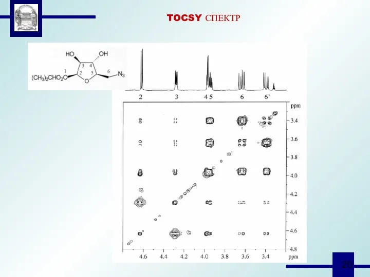 TOCSY СПЕКТР