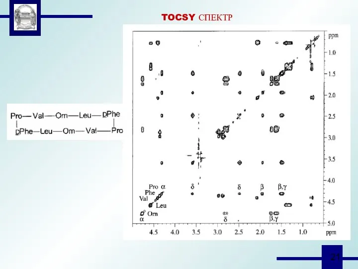 TOCSY СПЕКТР