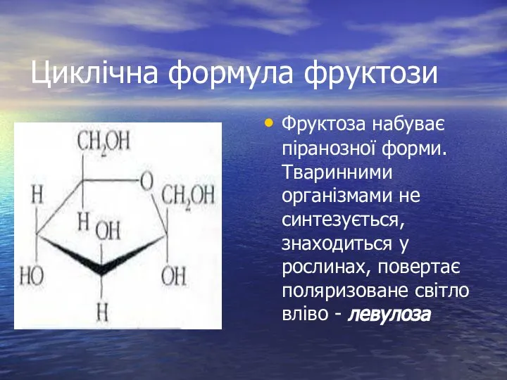 Циклічна формула фруктози Фруктоза набуває піранозної форми. Тваринними організмами не синтезується,