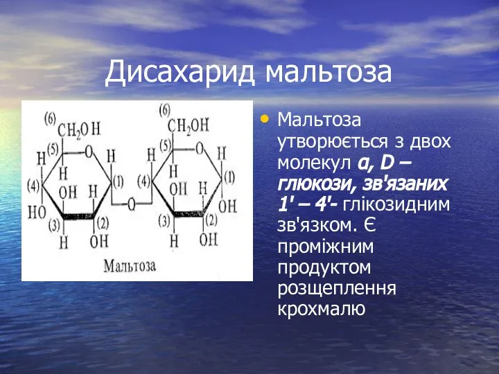 Дисахарид мальтоза Мальтоза утворюється з двох молекул α, D – глюкози,