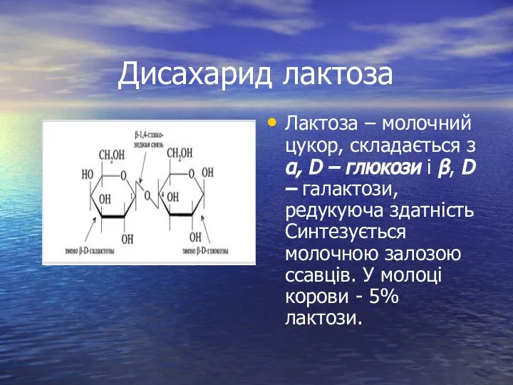 Дисахарид лактоза Лактоза – молочний цукор, складається з α, D –