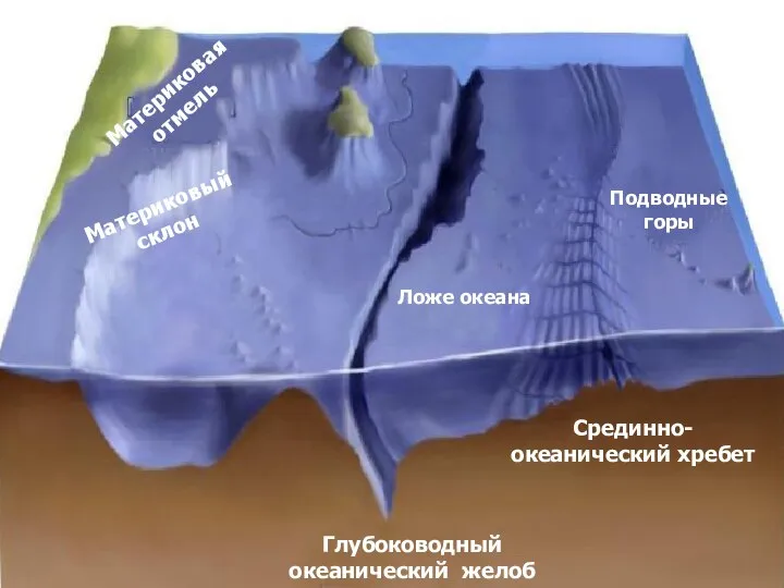 Рельеф дна Мирового океана Материковая отмель Материковый склон Ложе океана Глубоководный