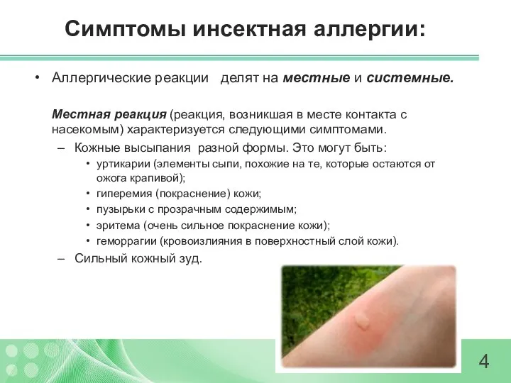 Симптомы инсектная аллергии: Аллергические реакции делят на местные и системные. Местная
