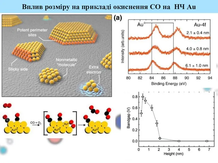 Вплив розміру на прикладі окиснення СО на НЧ Au