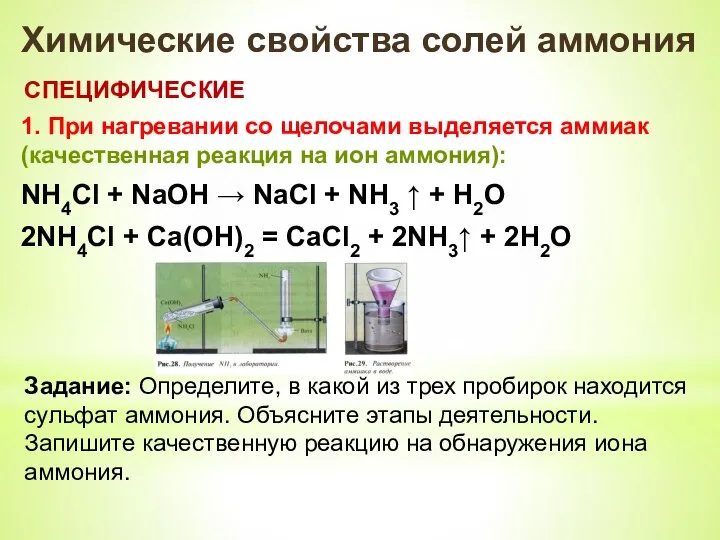Химические свойства солей аммония СПЕЦИФИЧЕСКИЕ 1. При нагревании со щелочами выделяется