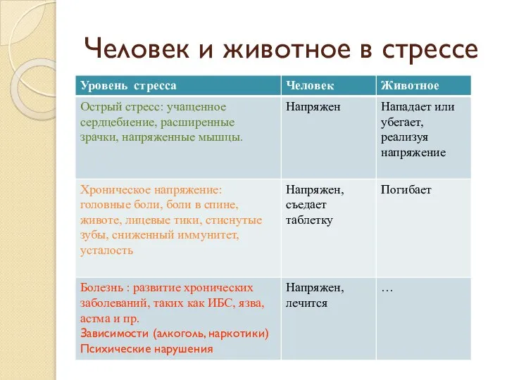 Человек и животное в стрессе