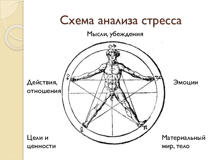 Схема анализа стресса Эмоции Мысли, убеждения Действия, отношения Цели и ценности Материальный мир, тело