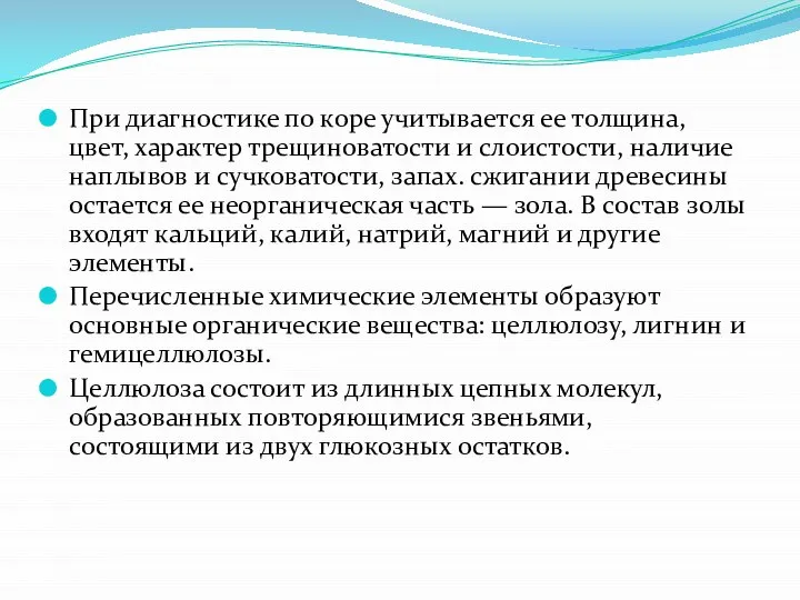 При диагностике по коре учитывается ее толщина, цвет, характер трещиноватости и