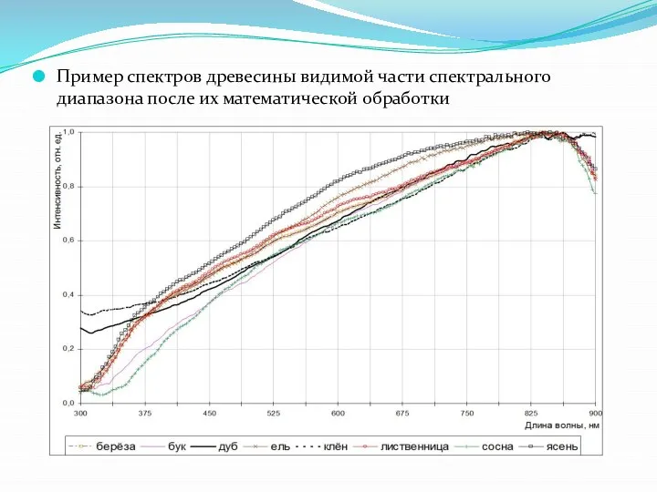 Пример спектров древесины видимой части спектрального диапазона после их математической обработки