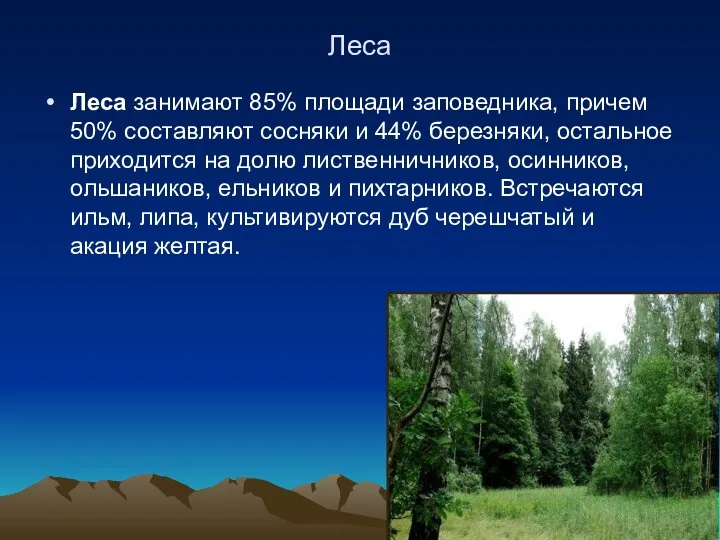 Леса Леса занимают 85% площади заповедника, причем 50% составляют сосняки и