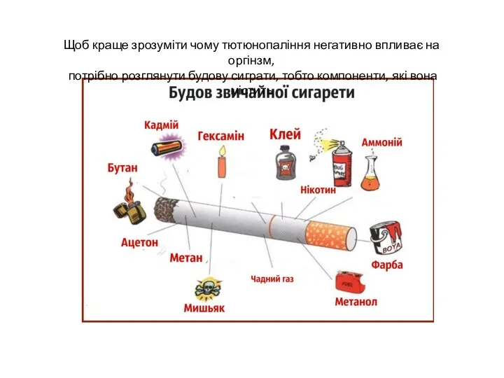 Щоб краще зрозуміти чому тютюнопаління негативно впливає на оргінзм, потрібно розглянути