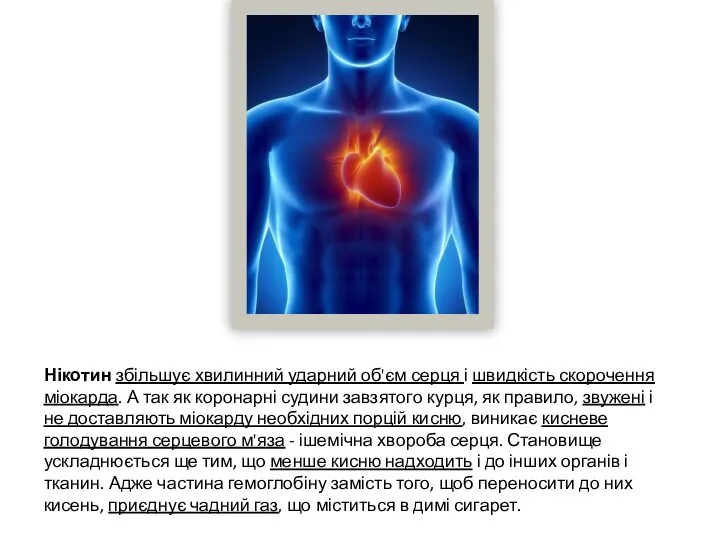 Нікотин збільшує хвилинний ударний об'єм серця і швидкість скорочення міокарда. А