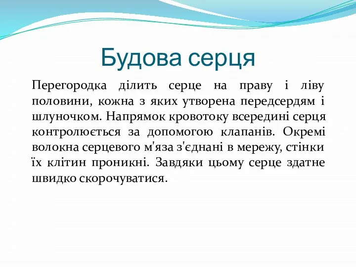 Будова серця Перегородка ділить серце на праву і ліву половини, кожна