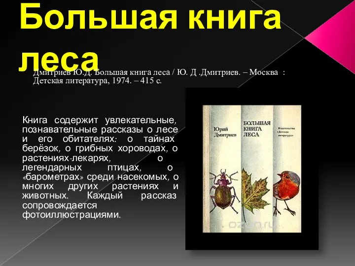 Большая книга леса Книга содержит увлекательные, познавательные рассказы о лесе и