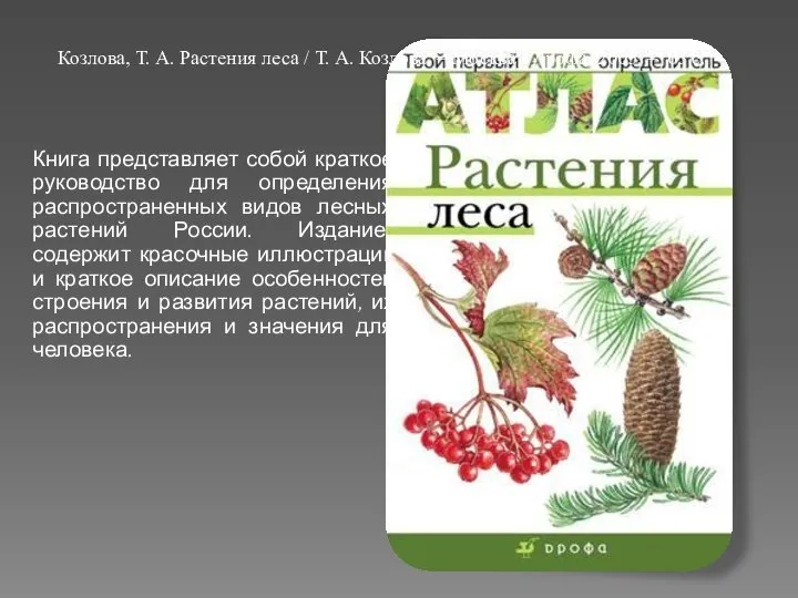 Книга представляет собой краткое руководство для определения распространенных видов лесных растений