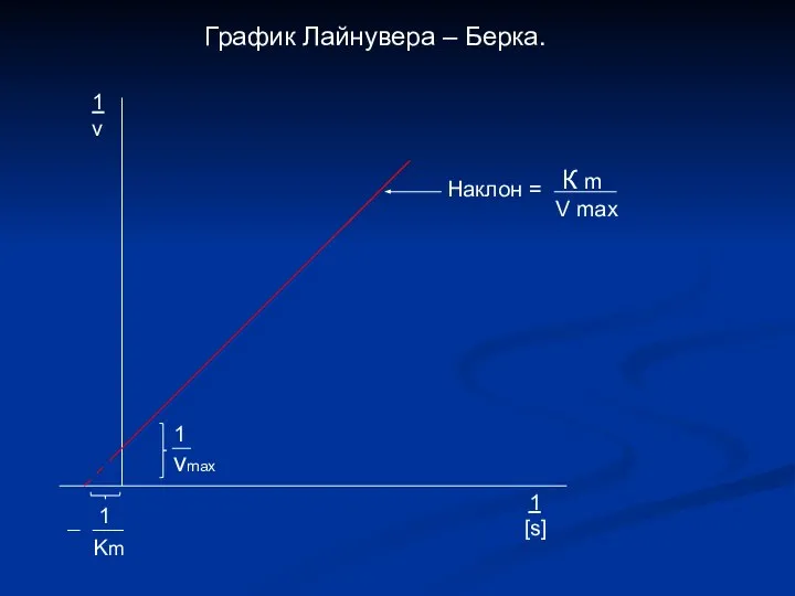 График Лайнувера – Берка. 1 vmax 1 Km Наклон = К