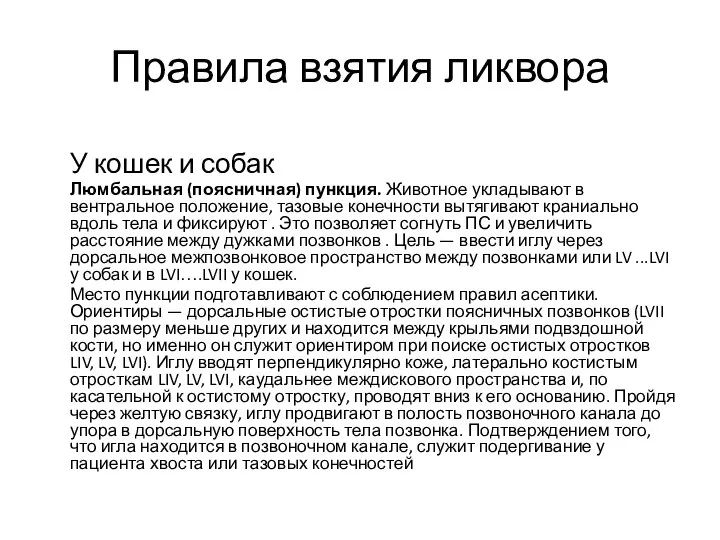 Правила взятия ликвора У кошек и собак Люмбальная (поясничная) пункция. Животное