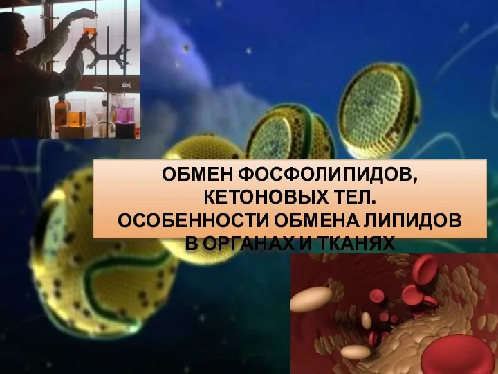 ОБМЕН ФОСФОЛИПИДОВ, КЕТОНОВЫХ ТЕЛ. ОСОБЕННОСТИ ОБМЕНА ЛИПИДОВ В ОРГАНАХ И ТКАНЯХ