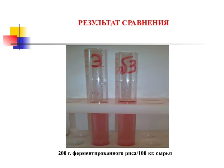 РЕЗУЛЬТАТ СРАВНЕНИЯ 200 г. ферментированного риса/100 кг. сырья